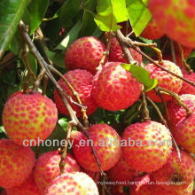 raw organic litchi honey